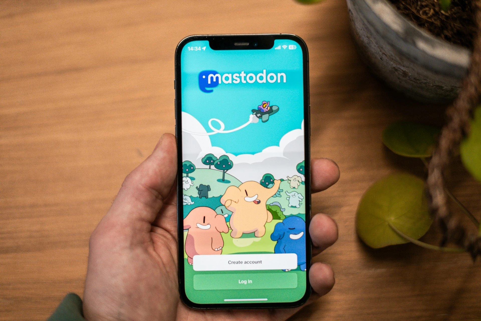 رئيسة مجلس إدارة Mastodon تنوي نقل ملكيتها إلى منظمة غير ربحية