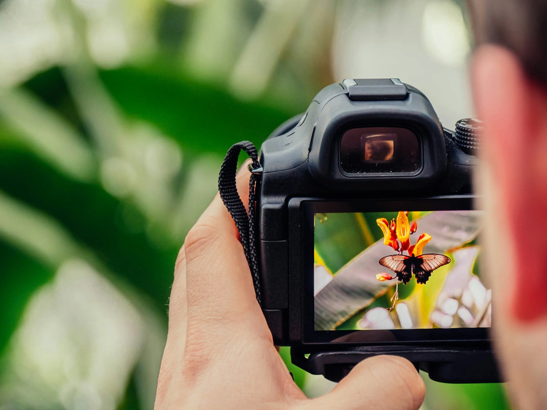 ستقوم شركة Getty Images بالدمج مع الشركة المنافسة Shutterstock لتشكيل شركة بقيمة 3.7 مليار دولار